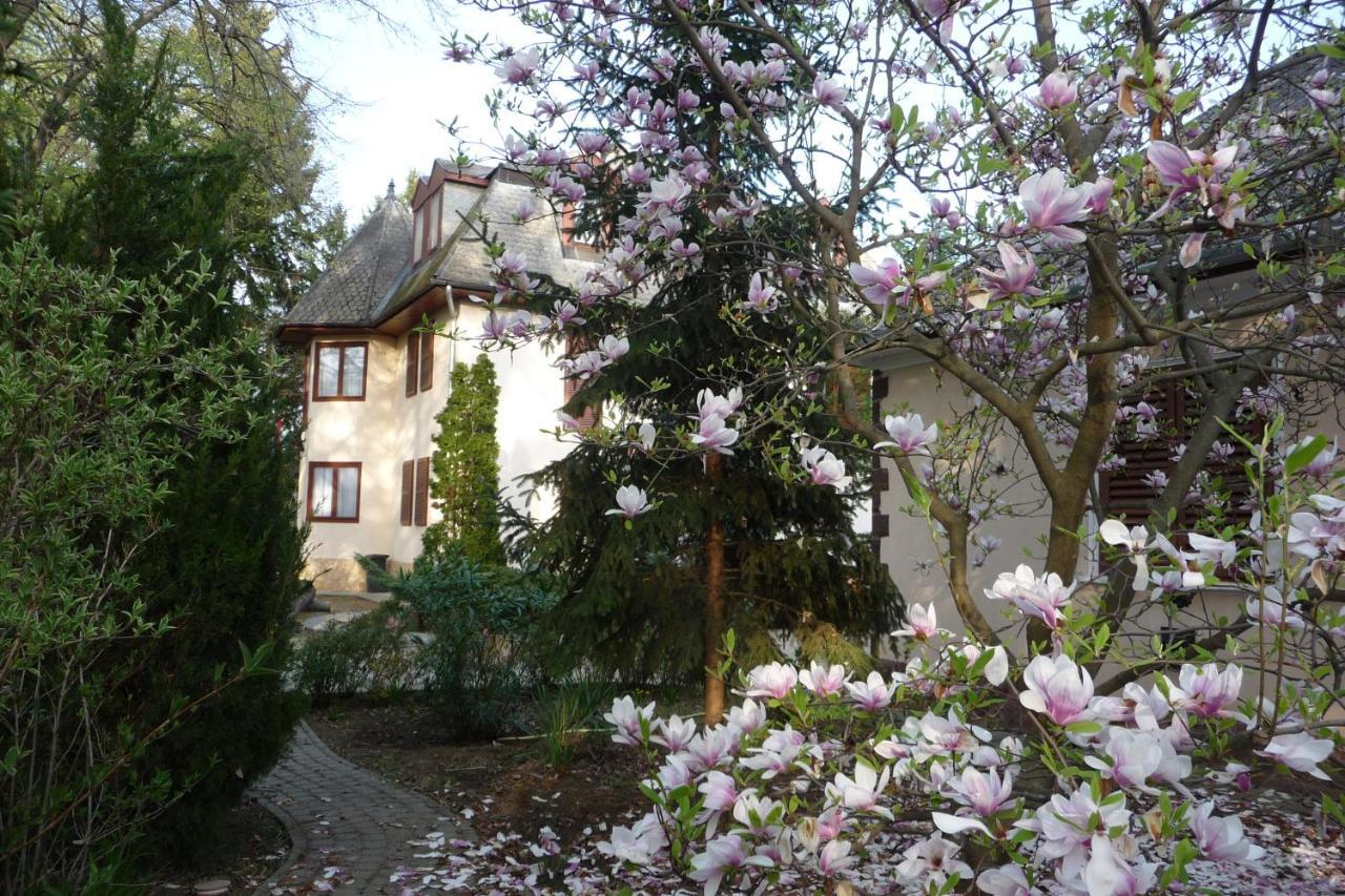 Balaton Art Guesthouse Balatonszárszó Exteriör bild