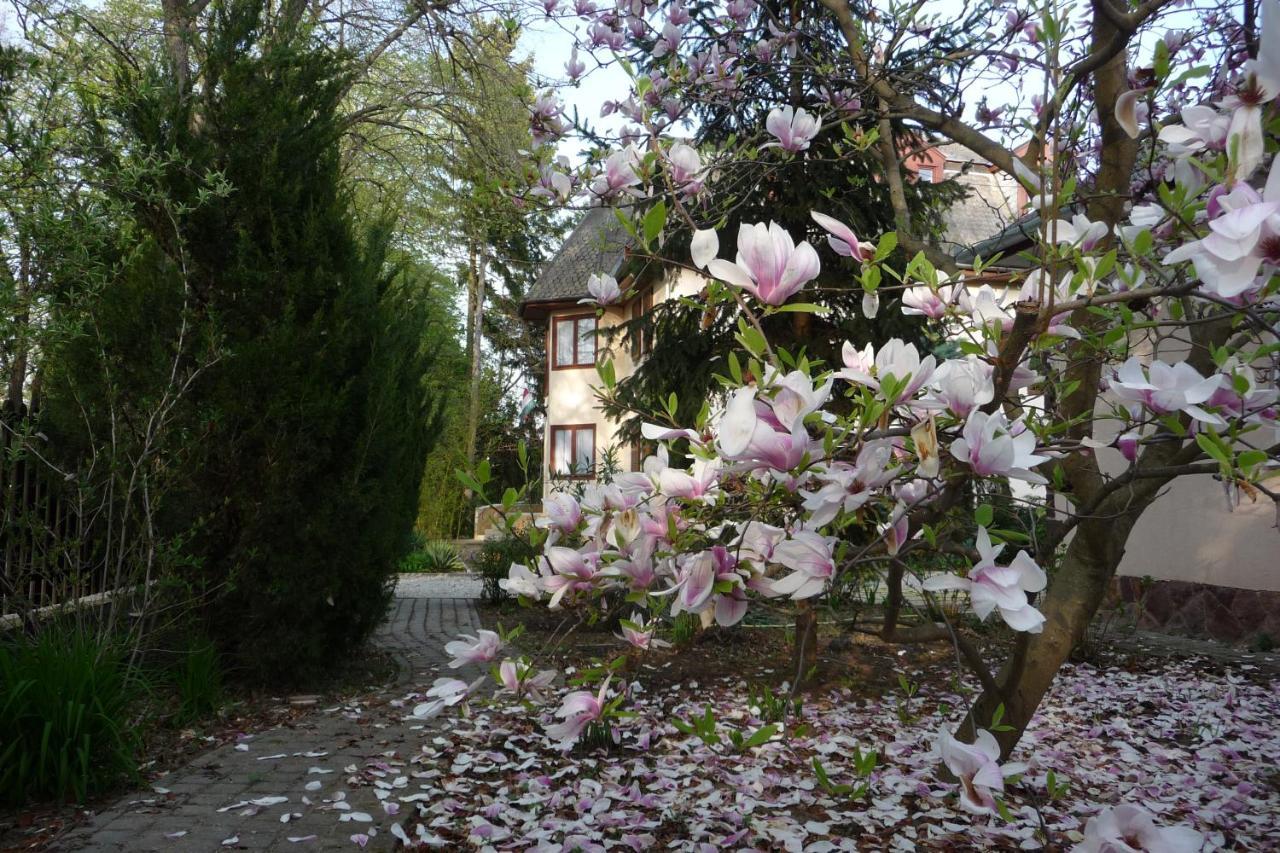 Balaton Art Guesthouse Balatonszárszó Exteriör bild