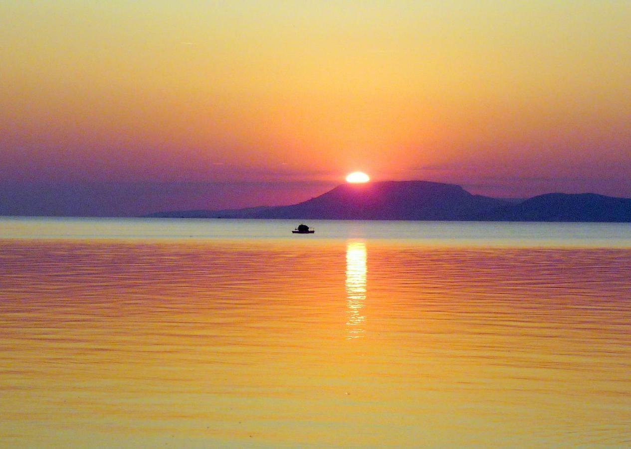 Balaton Art Guesthouse Balatonszárszó Exteriör bild
